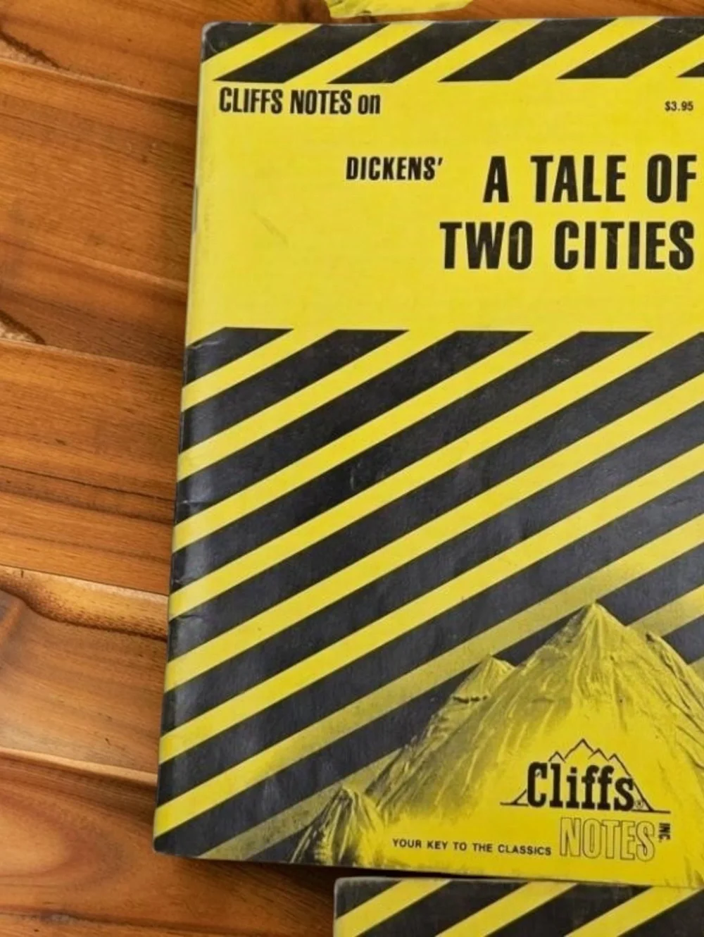 Vintage Cliffs Notes Booklets Set of 9 – Classic Literature Study Guides